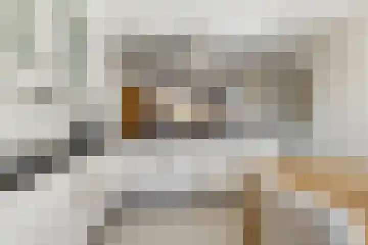 Landweg 12 Huizen thumbnail 7