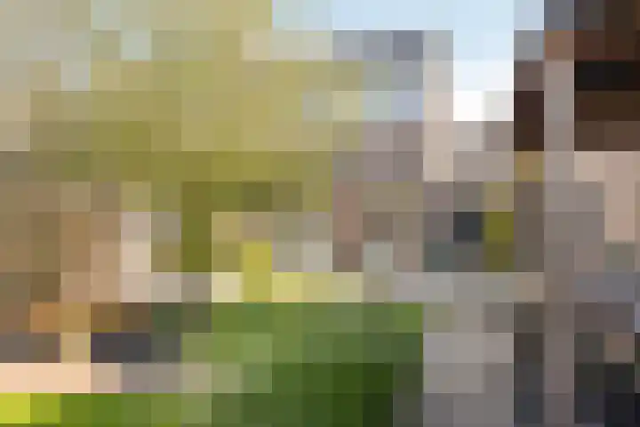 Landweg 12 Warnsveld thumbnail 30