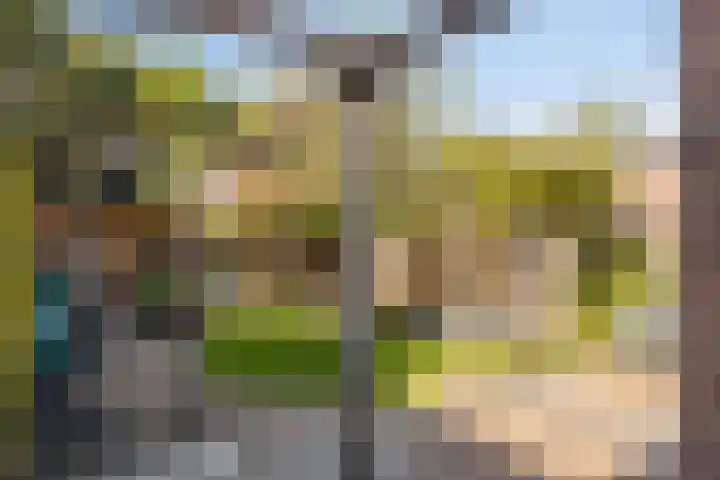 Landweg 12 Warnsveld thumbnail 33