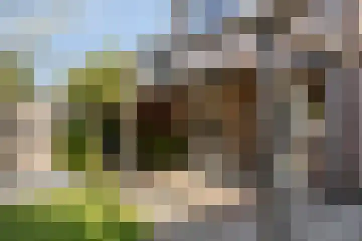 Landweg 12 Warnsveld thumbnail 39