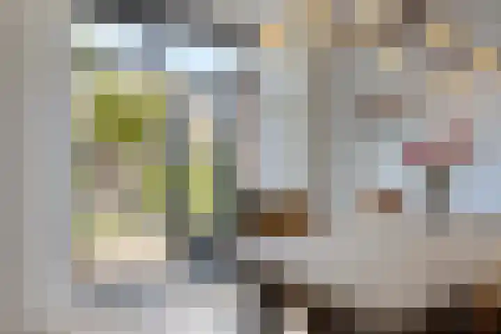 Landweg 12 Warnsveld thumbnail 9