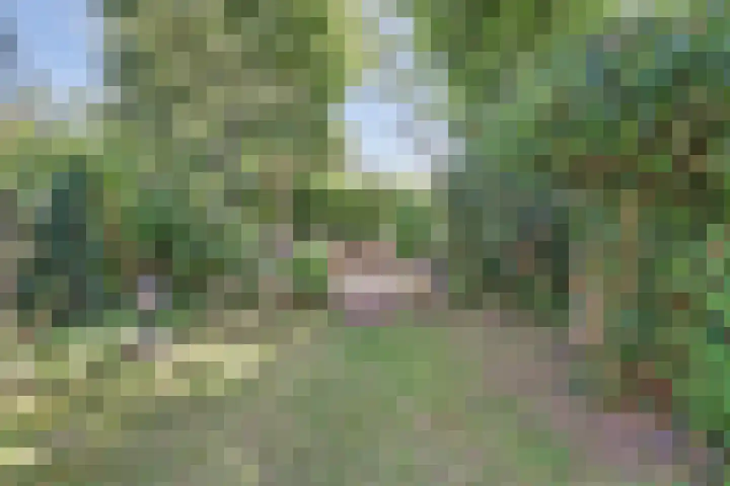 Landweg 177 Leusden thumbnail 35