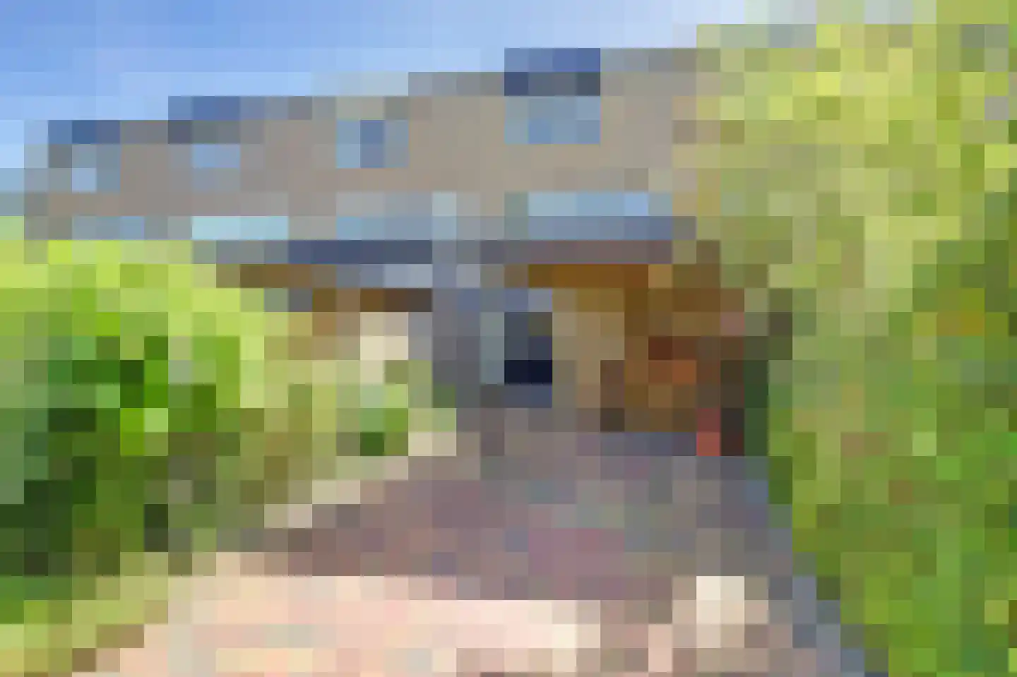 Landweg 177 Leusden thumbnail 6