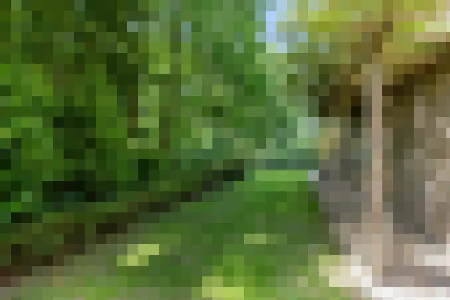 Landweg 253 Leusden thumbnail 13