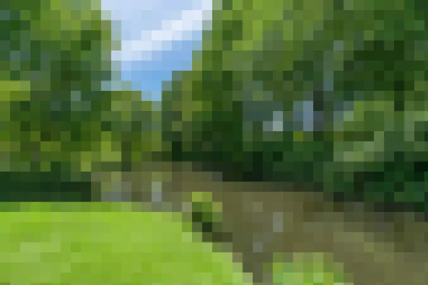 Landweg 253 Leusden thumbnail 5