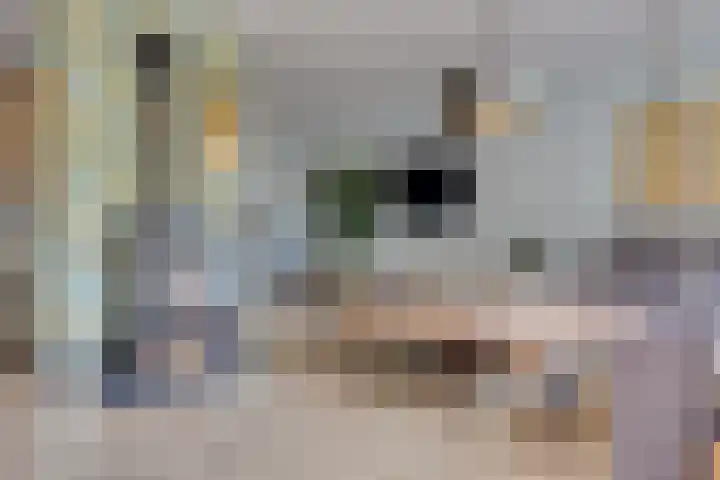Landweg 257 Leusden thumbnail 12