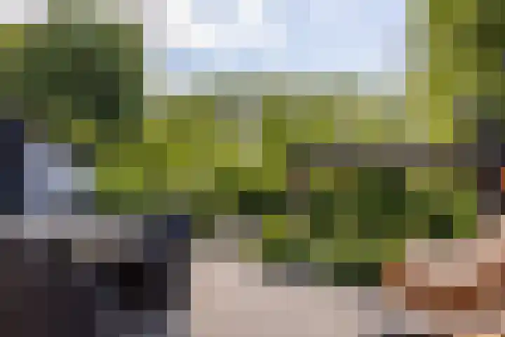 Landweg 257 Leusden thumbnail 25