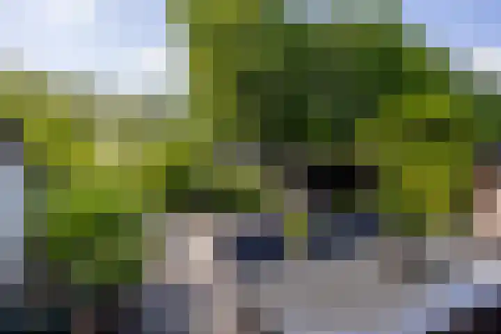 Landweg 257 Leusden thumbnail 26