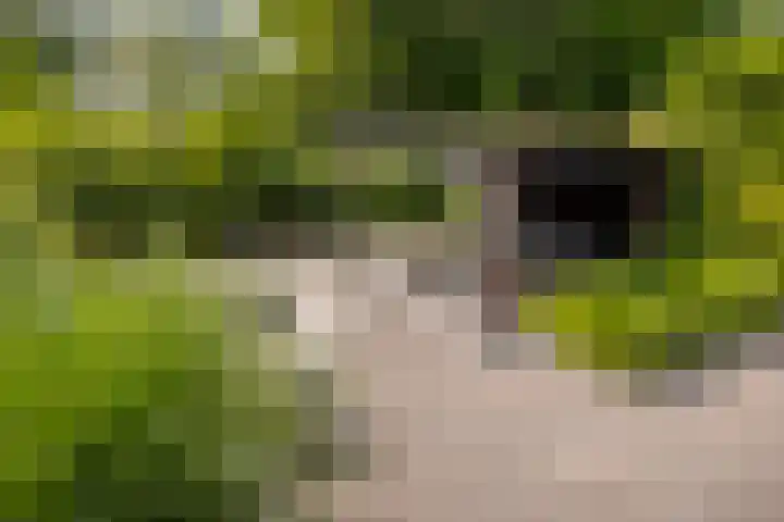Landweg 257 Leusden thumbnail 27