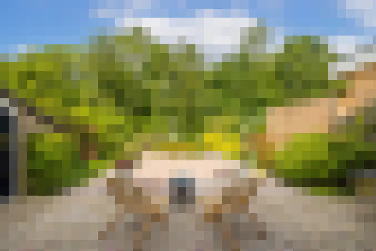 Landweg 283 Leusden thumbnail 12