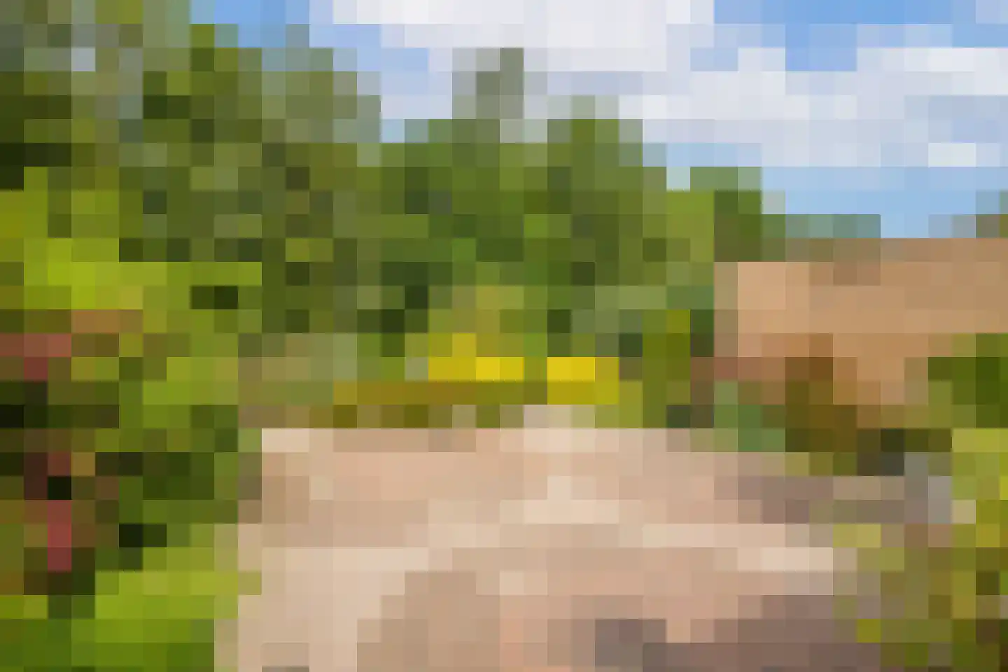 Landweg 283 Leusden thumbnail 13