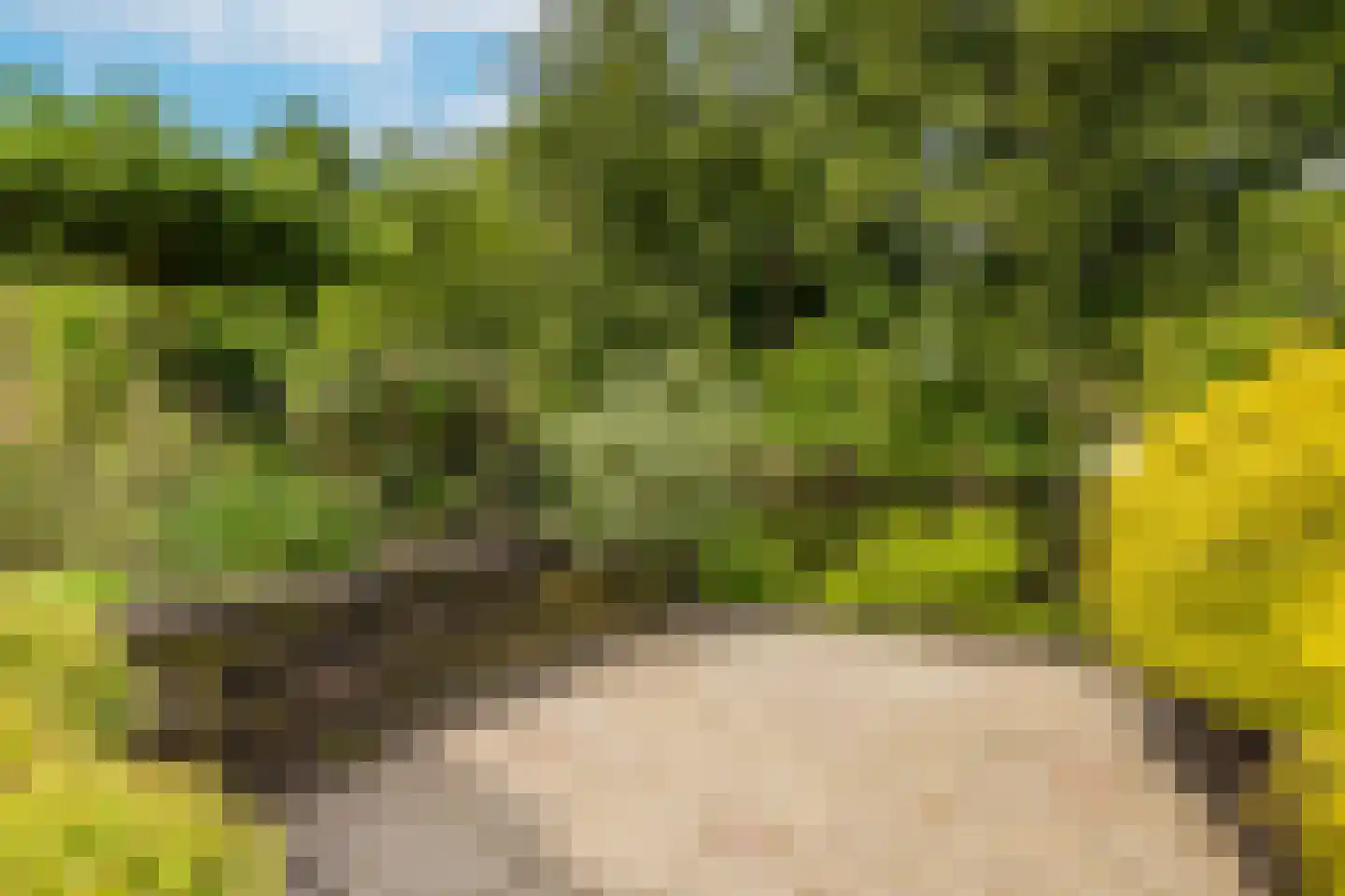 Landweg 283 Leusden thumbnail 14
