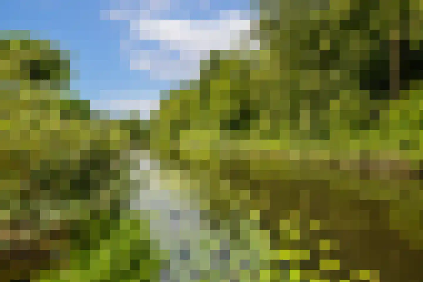Landweg 283 Leusden thumbnail 15