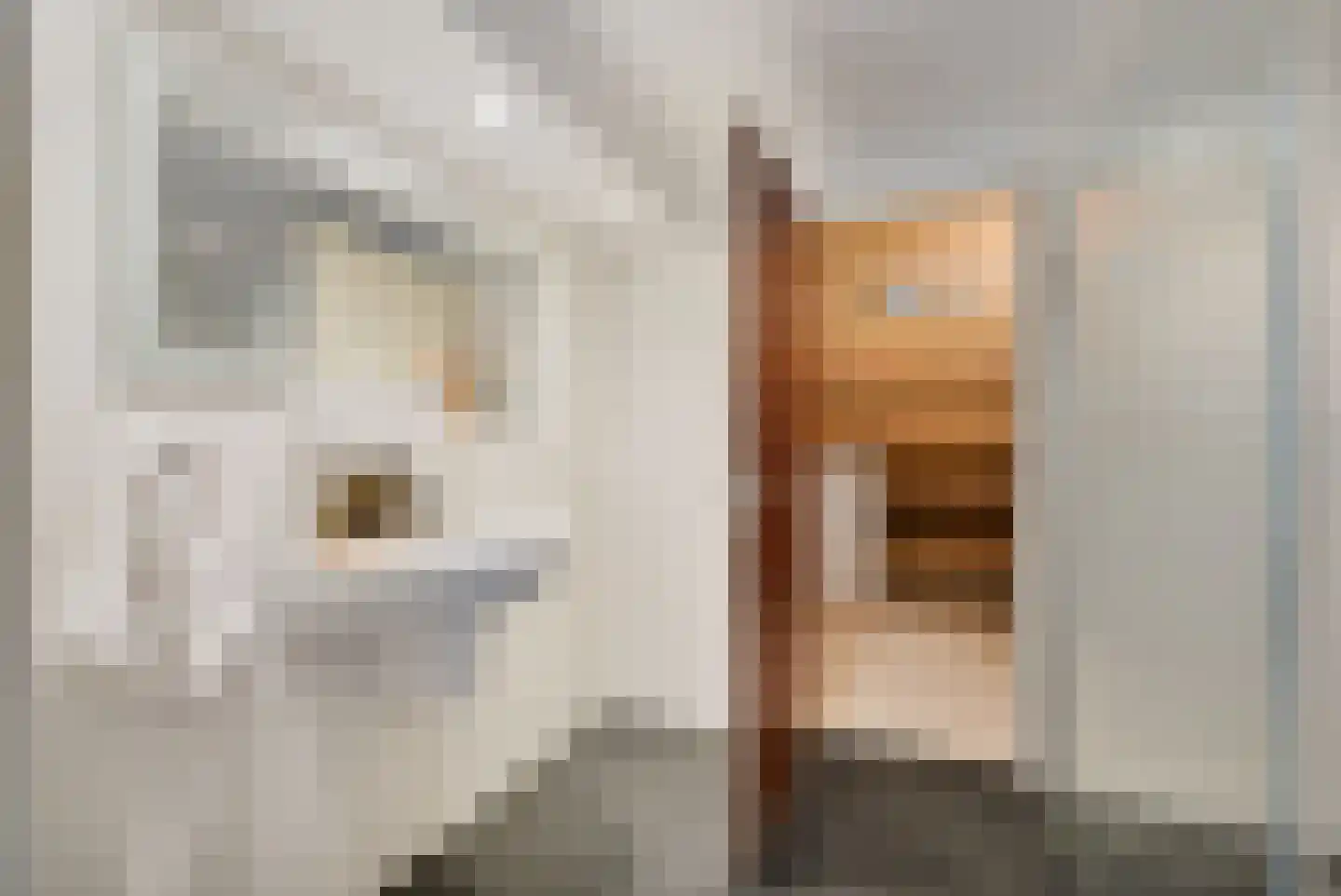 Landweg 283 Leusden thumbnail 36