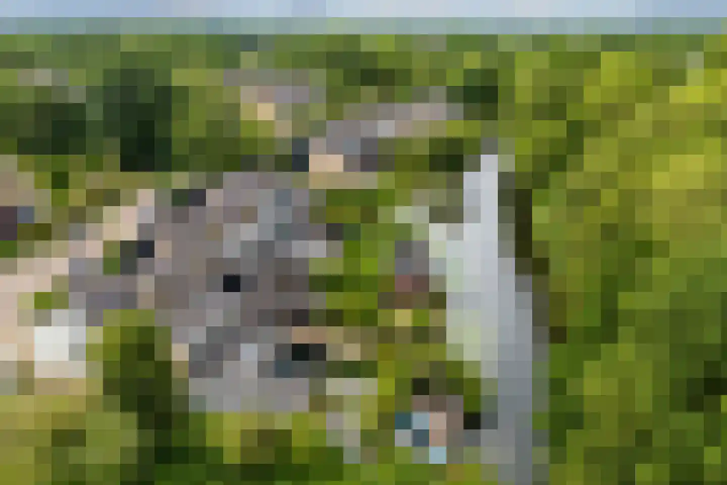 Landweg 283 Leusden thumbnail 44