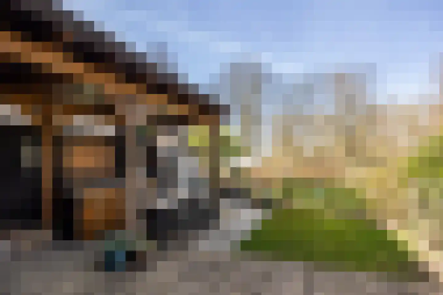 Landweg 295 Leusden thumbnail 35