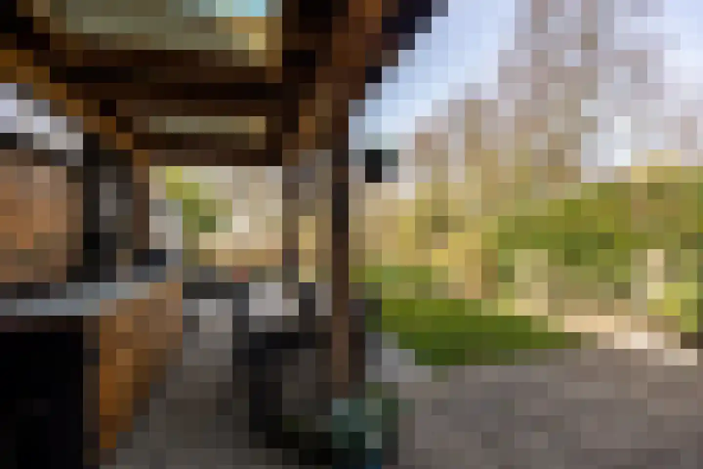 Landweg 295 Leusden thumbnail 36