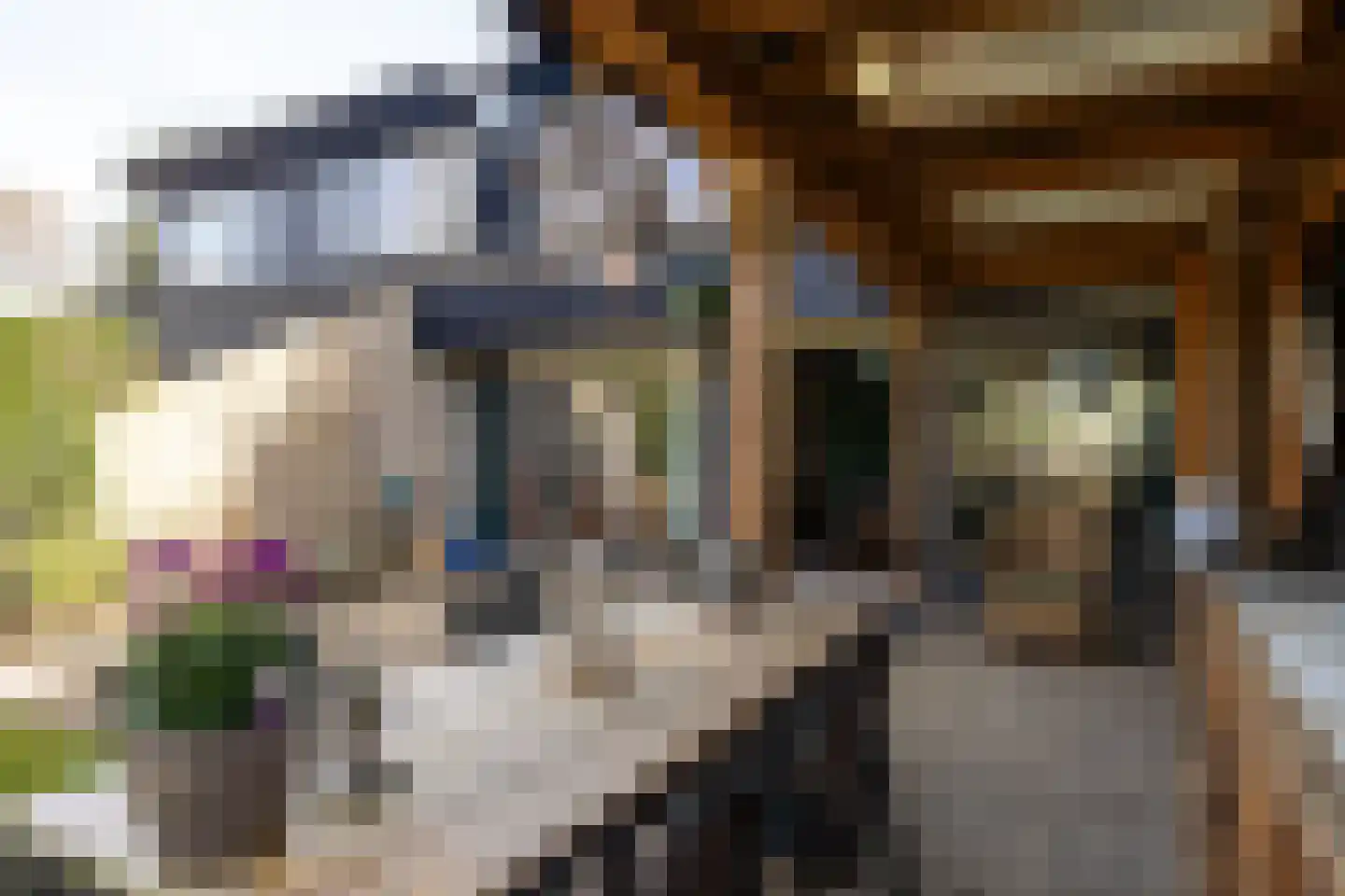 Landweg 295 Leusden thumbnail 41