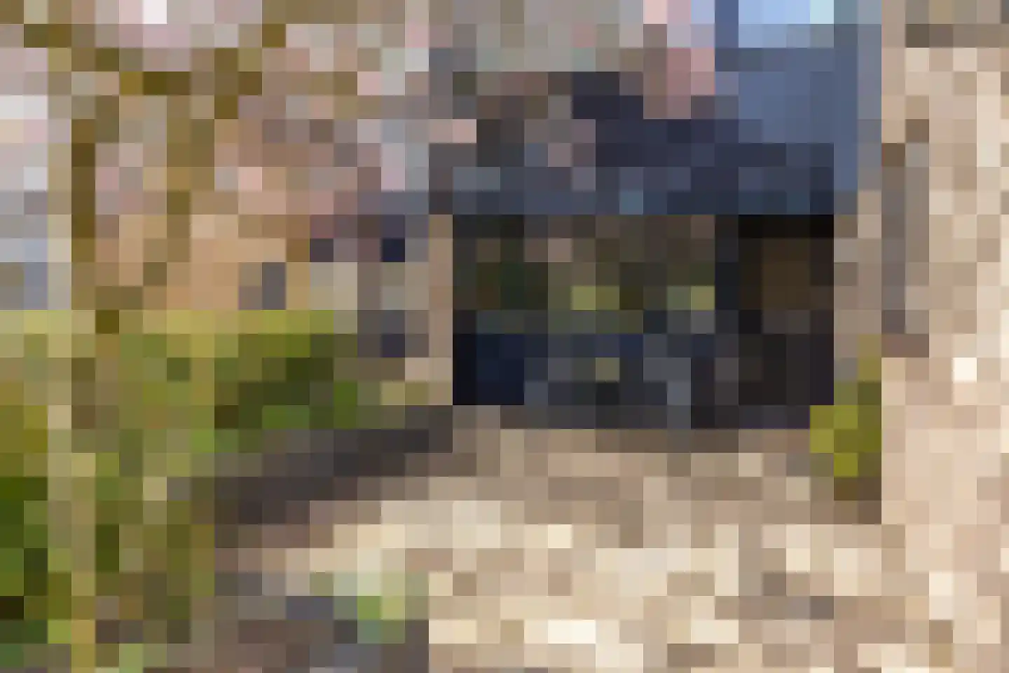 Landweg 295 Leusden thumbnail 44