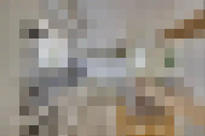 Landweg 343 Leusden thumbnail 12