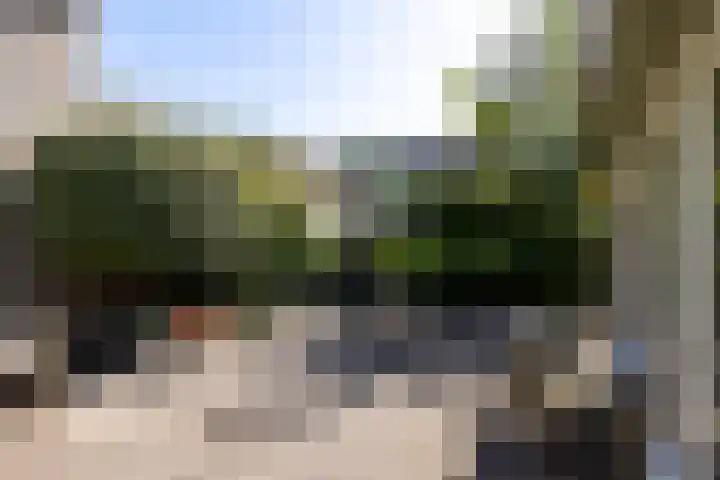 Landweg 343 Leusden thumbnail 20