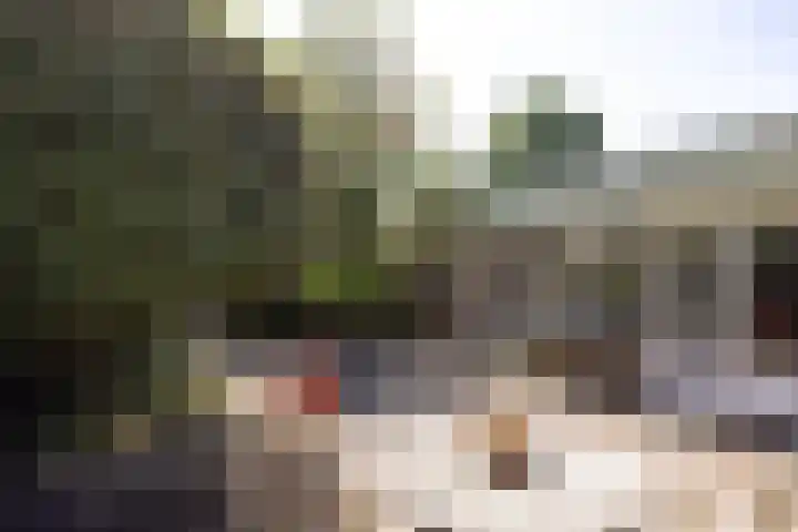 Landweg 343 Leusden thumbnail 21