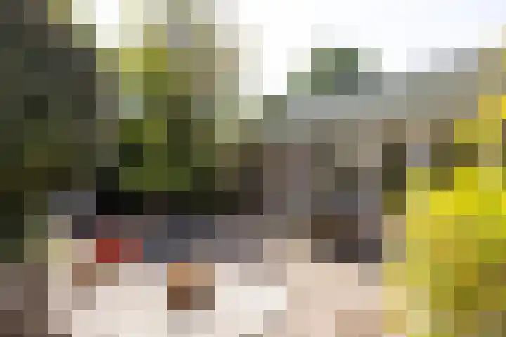 Landweg 343 Leusden thumbnail 22