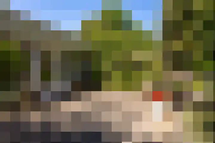 Landweg 343 Leusden thumbnail 24