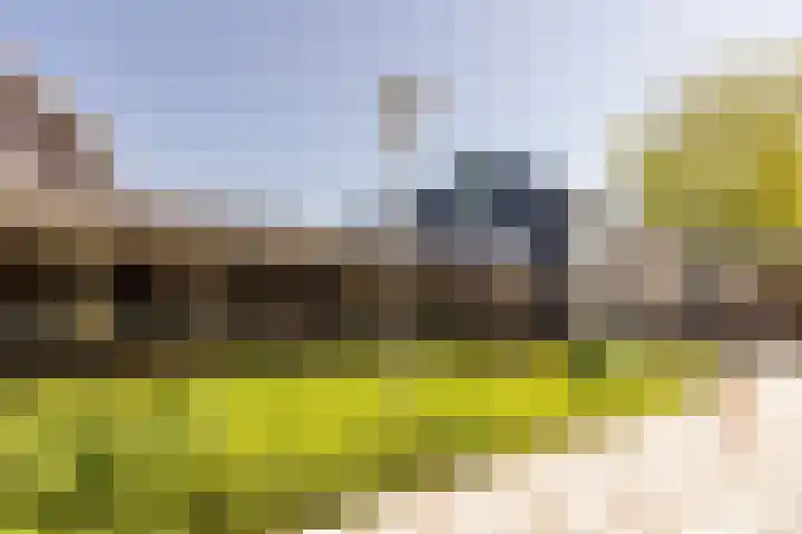 Landweg 343 Leusden thumbnail 27