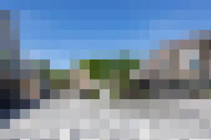 Landweg 343 Leusden thumbnail 30