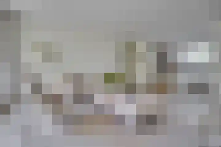 Landweg 343 Leusden thumbnail 5