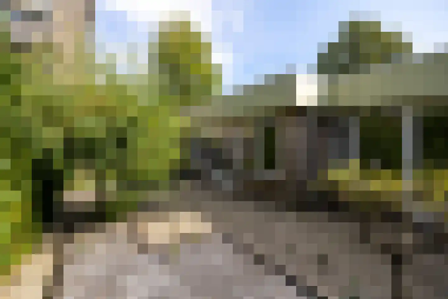 Landweg 345 Leusden thumbnail 20