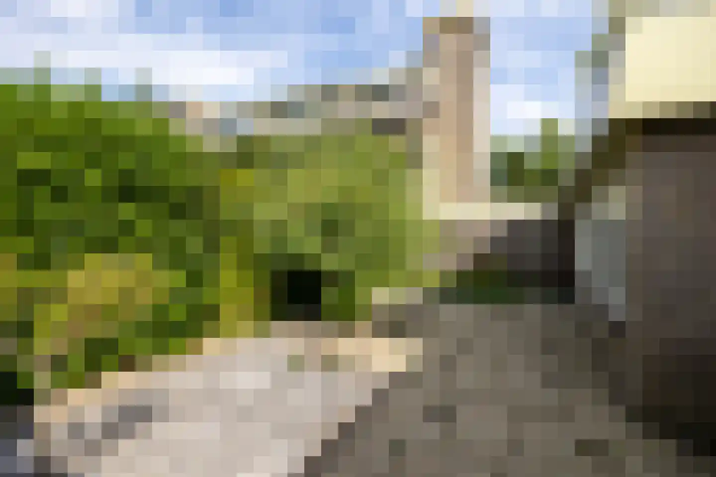 Landweg 345 Leusden thumbnail 22