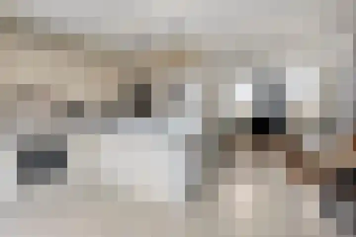 Landweg 6 's-Heer Arendskerke thumbnail 12