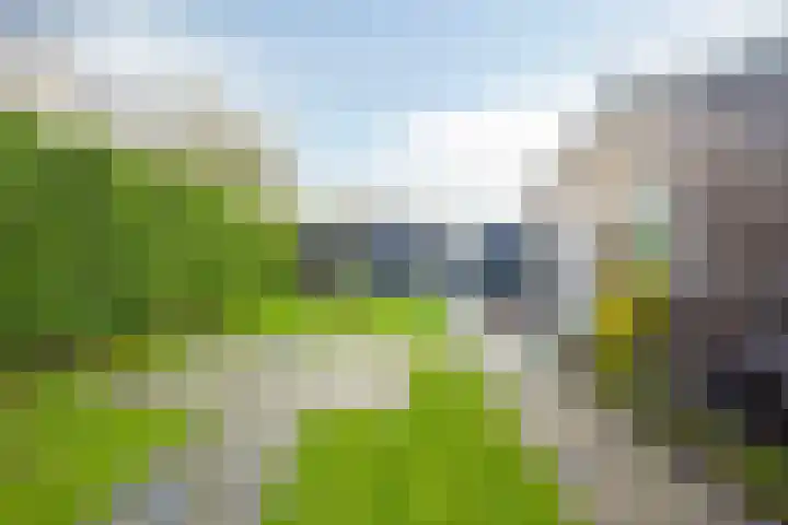 Landweg 6 's-Heer Arendskerke thumbnail 24
