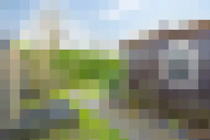 Landweg 6 's-Heer Arendskerke thumbnail 26
