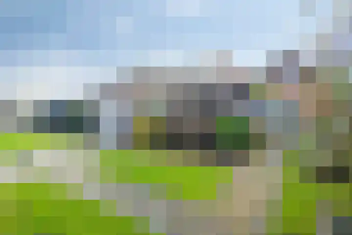 Landweg 6 's-Heer Arendskerke thumbnail 27