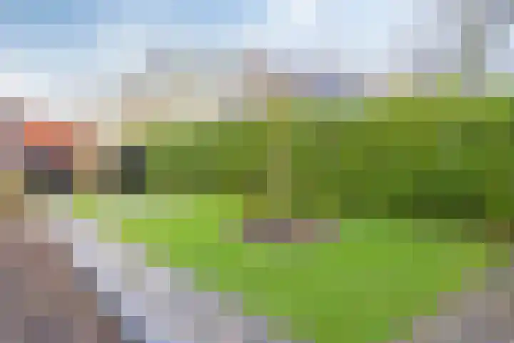 Landweg 6 's-Heer Arendskerke thumbnail 28