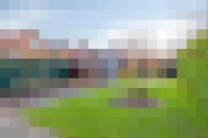 Landweg 6 's-Heer Arendskerke thumbnail 29
