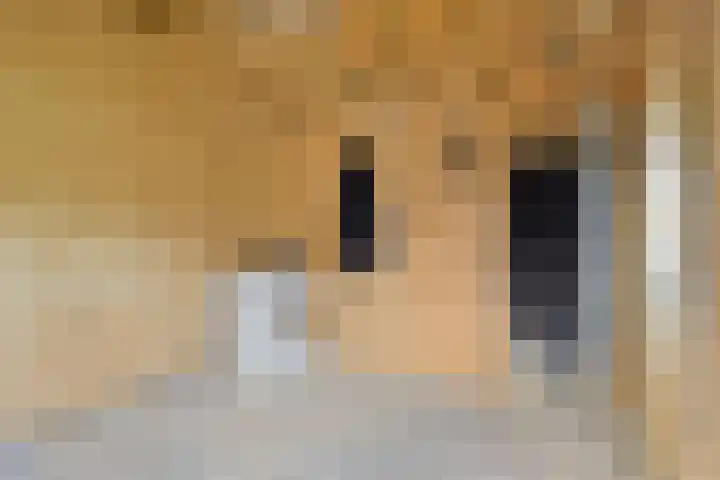 Landweg 6 's-Heer Arendskerke thumbnail 30