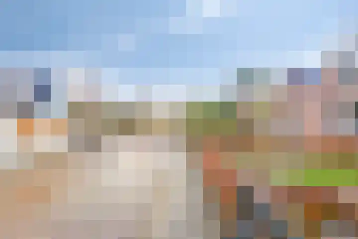 Landweg 6 's-Heer Arendskerke thumbnail 35