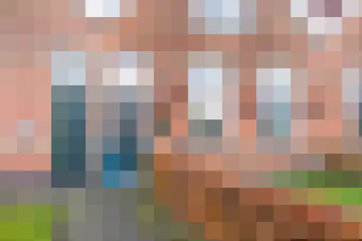 Landweg 6 's-Heer Arendskerke thumbnail 6