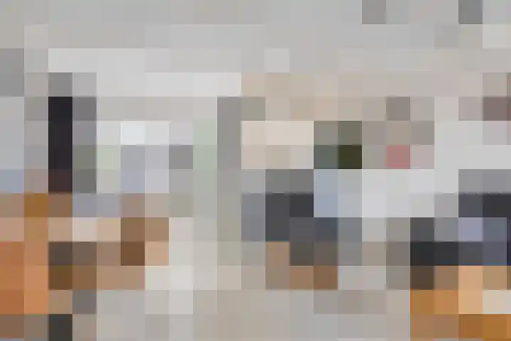 Landweg 6 's-Heer Arendskerke thumbnail 8