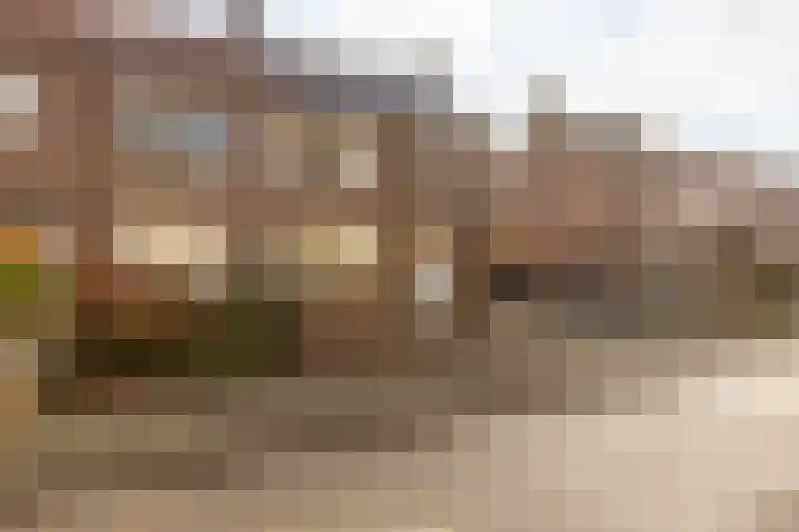 Landweringstraat 48 Sittard thumbnail 4