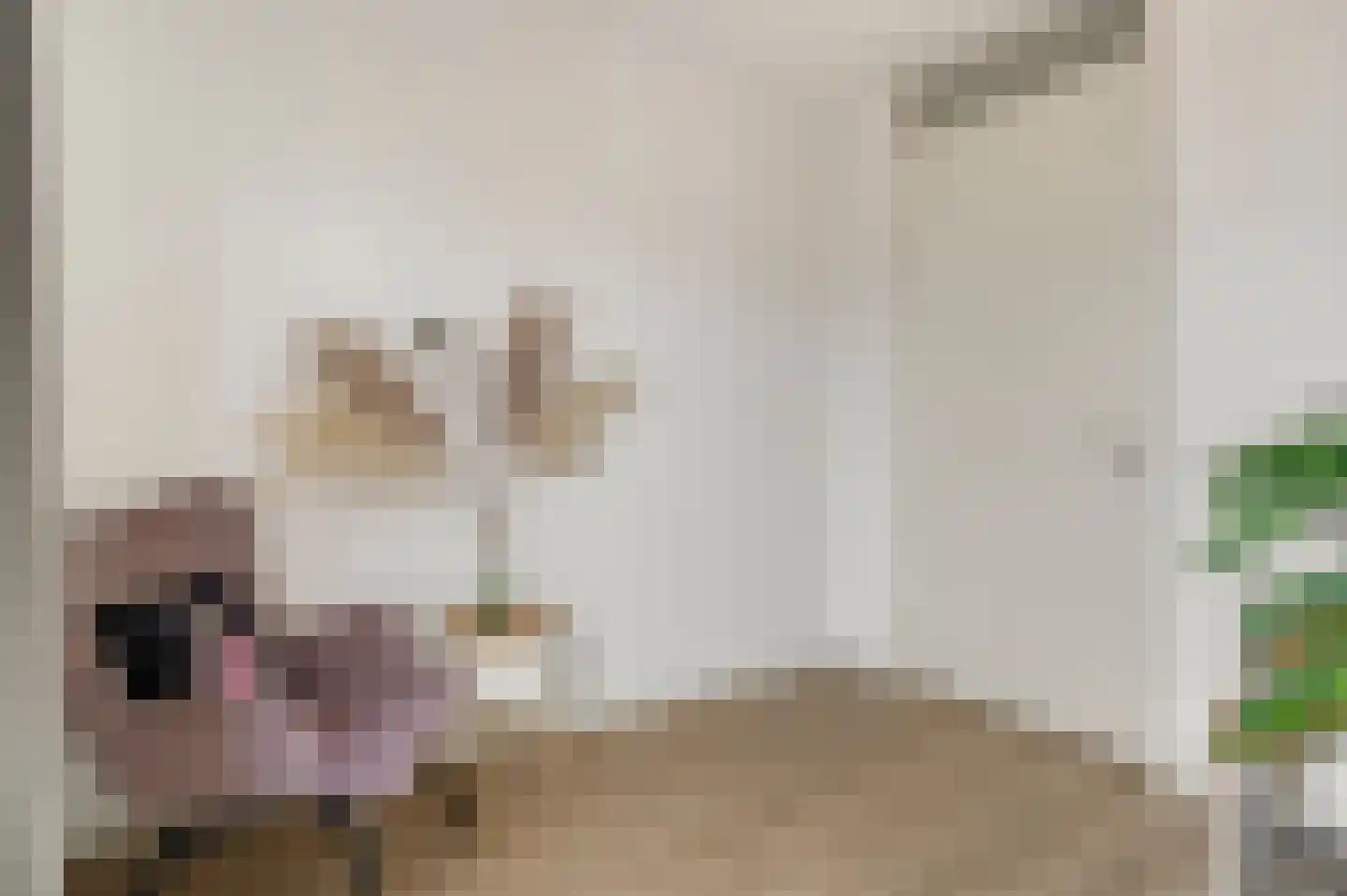Landzicht 23 Amsterdam thumbnail 33