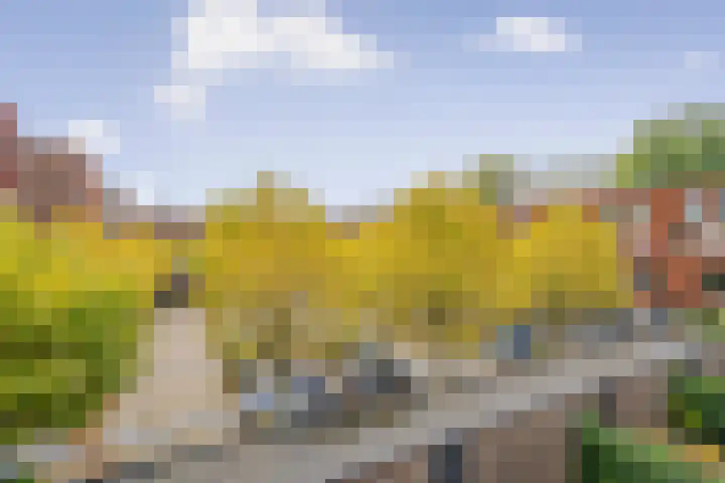 Landzicht 23 Amsterdam thumbnail 4