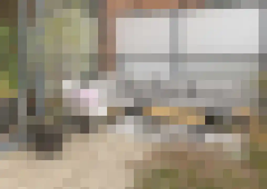 Landzicht 23 Amsterdam thumbnail 5