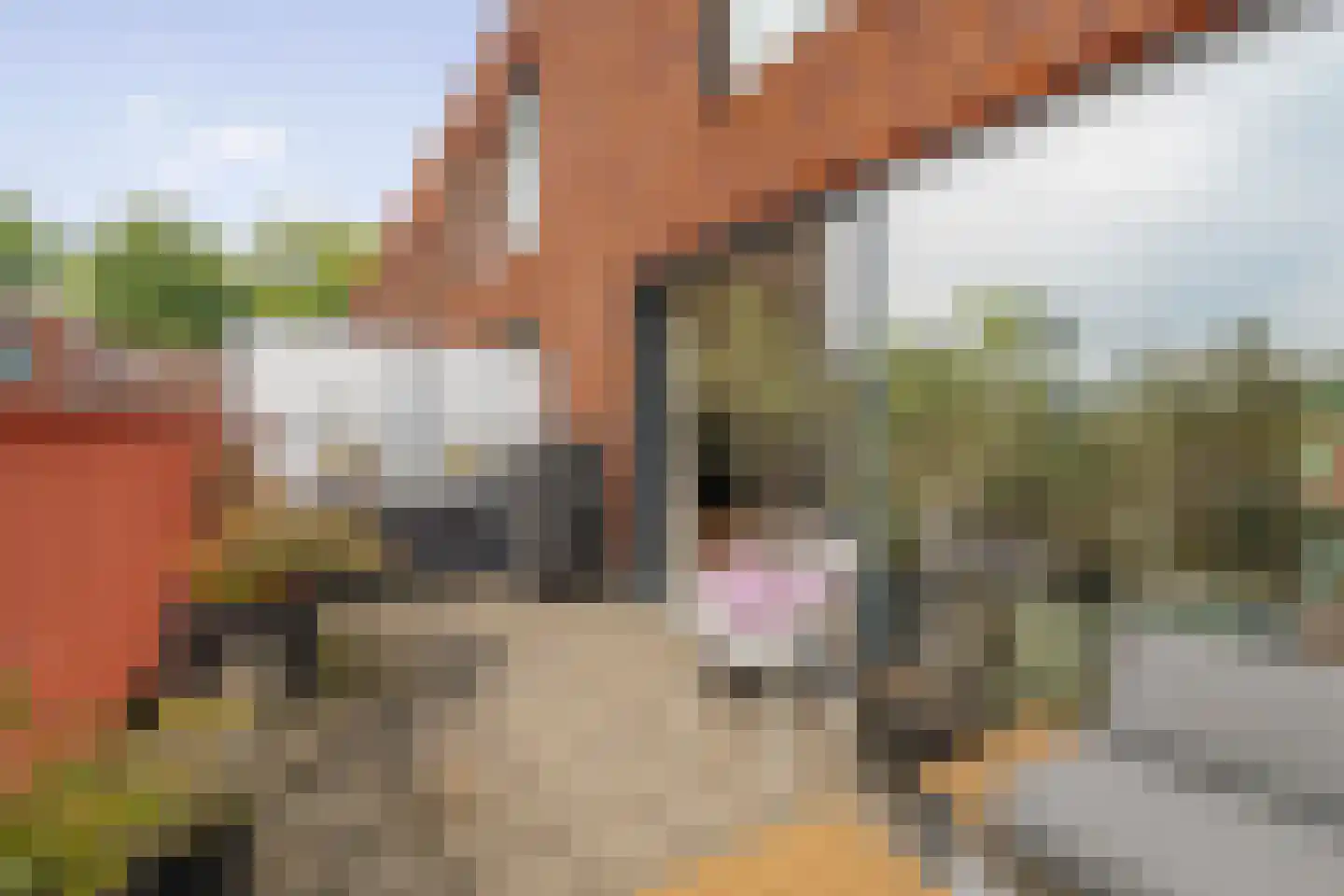 Landzicht 23 Amsterdam thumbnail 6