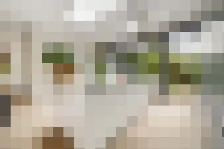 Landzichtlaan 38 Heemstede thumbnail 17