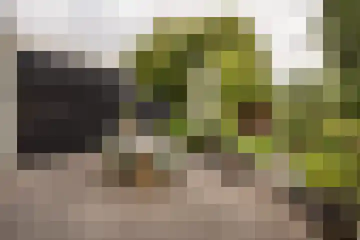Landzichtlaan 38 Heemstede thumbnail 20